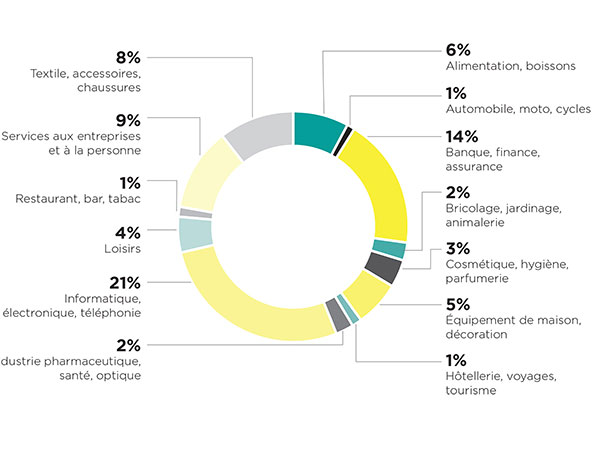 Infographie sur les grands secteurs d'activités